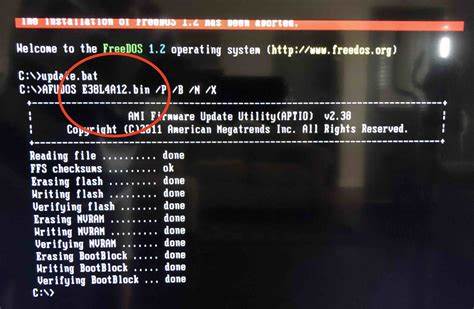 Firewalls and BIOS's and Coreboot (2020)