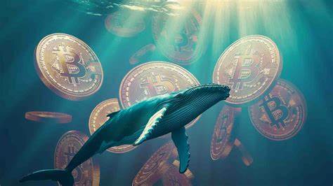 Whale Bitcoin Accumulation Hits Record Highs: Key Trading Signals for BTC Price Surge