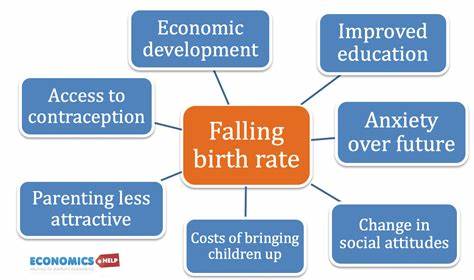 The Future Is Too Expensive – A New Theory on Collapsing Birth Rates
