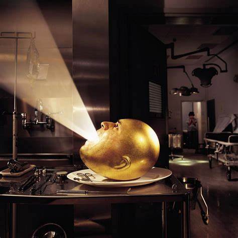 De-Loused in the Comatorium