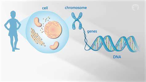 Is it genetics that will give you freedom from the AIs?