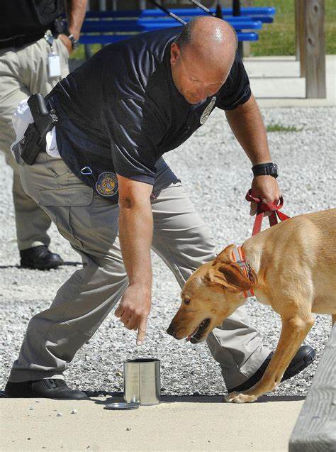Brüder sagen, sie hätten bis auf ihren Hund alles verloren, nachdem eine mutmaßliche Brandstiftung ihr Haus in Brand gesteckt hatte
