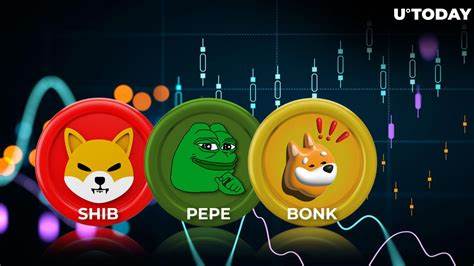 BONK Meme Coin Amid Worst Performers