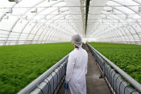 Fresh foods AI platform raises £5.5M to cut supermarket waste