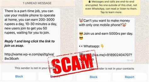 In Less Than 2 Months, Telegram & WhatsApp Scammers Have Cheated Over $6.8 Million - Goody Feed