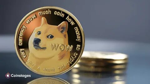 Dogecoin: Is Dogecoin a good investment? 'Incredibly high risk’ - Express