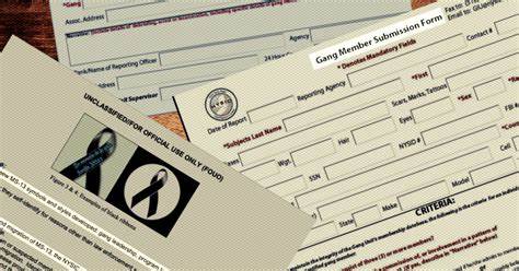More Than 5k People Are on a NY State Police Gang Database
