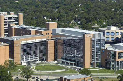 Medical Properties Trust, Inc. (MPW): A Bull Case Theory