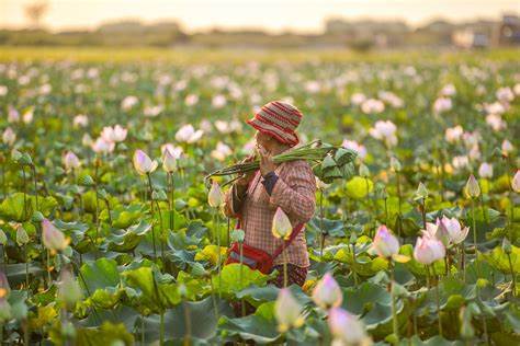The Human and Ecological Costs of Perfume