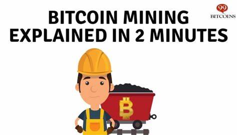 What Happens When All Coins Are Mined?