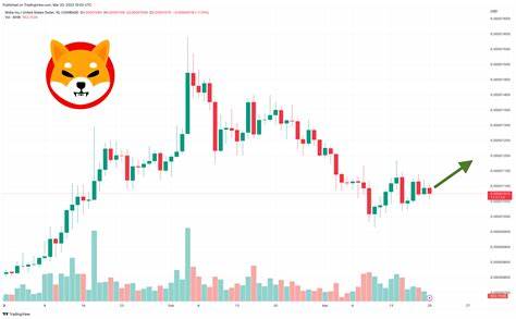 Shiba Inu Price Analysis: SHIB Faces $100M Sell-Off As Bulls to Defend $0.000015 Support - The Crypto Basic