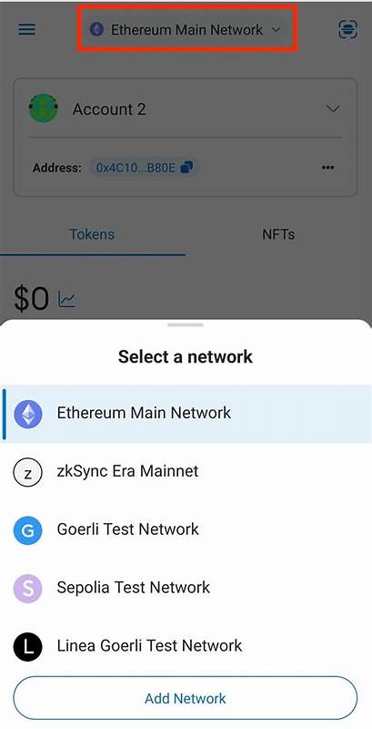 How to Add BNB Smart Chain (BSC) to MetaMask - CoinGecko Buzz