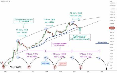 Bitcoin: Kommen verschiedene Zyklen? – Krypto-Nachrichten BTC – Krypto-Nachrichten BTC
