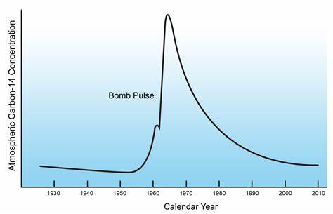 Bomb Pulse