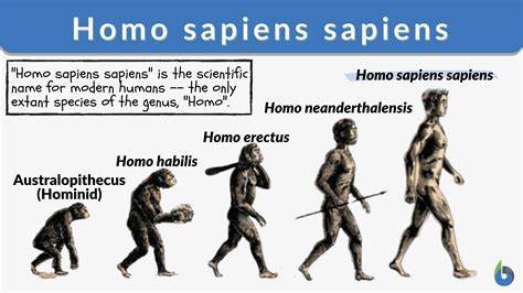 The Other Homo Sapiens