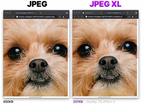 JPEG XL and Google's War Against It (2024)