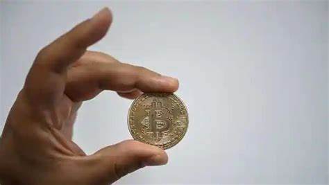 'HODL and forget!': Bitcoin wallet went from ₹6 lakh to 216 crore in 9 years | Stock Market News - Mint