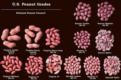 Pangenome analysis reveals variation associated with seed size in peanut