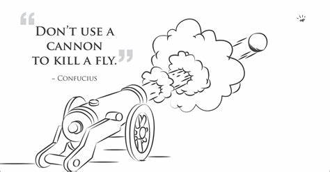 Build a Cannon to Kill a Mosquito