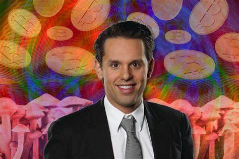 I took hallucinogenic mushrooms and made billions off bitcoin - New York Post