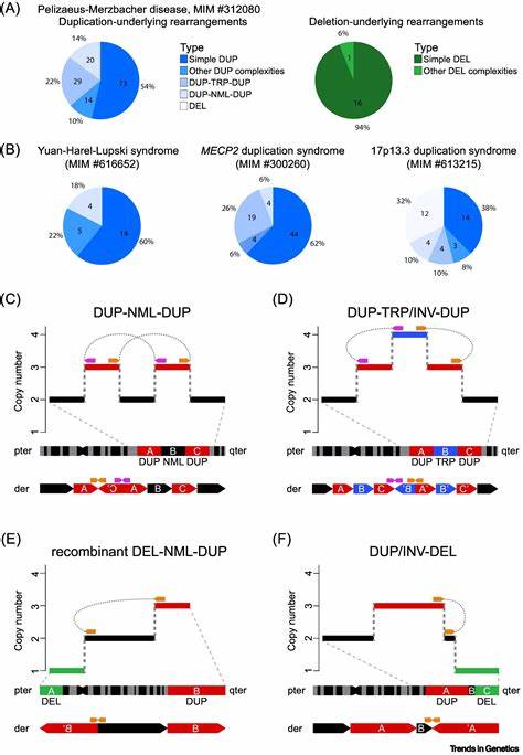 An episodic burst of genomic rearrangements