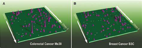 Three-dimensional genome landscape of primary human cancers
