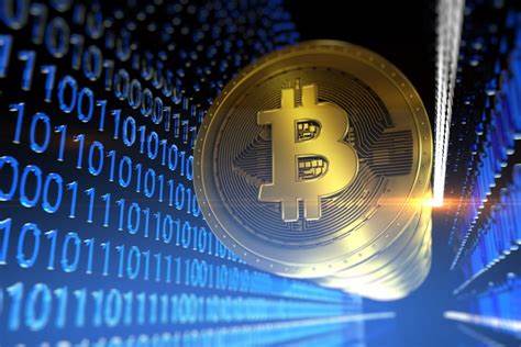 Brazil’s Bitcoin Beach Says Lightning Network Works Better Than Visa - Forbes