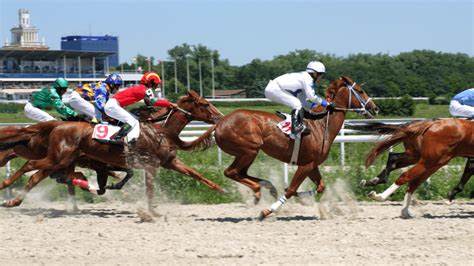 Best Horse Racing Crypto Betting Sites 2024 [Updated] - CryptoNewsZ