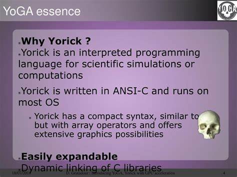 Yorick programming language for scientific computations