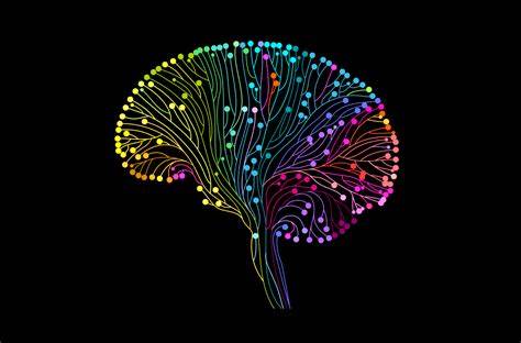 Scientists figure out how the brain forms emotional connections