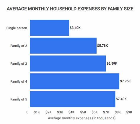 How to live on $432 a month in America