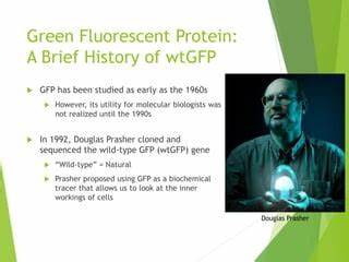 A Brief History of GFP