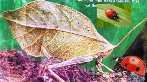 Lessons from 9 More Years of Tricky Bugs