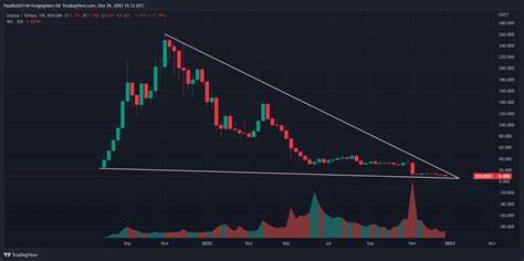 Bull Run Solana-Kursprognose und technische Analyse