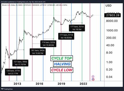 One Year Until The Bitcoin Halving: Analyzing Holder Dynamics
