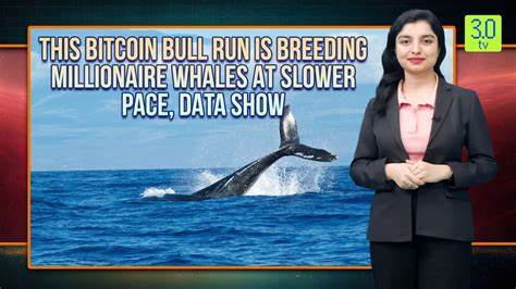 This Bitcoin Bull Run Is Breeding Millionaire Whales at Slower Pace, Data Show - Yahoo Finance