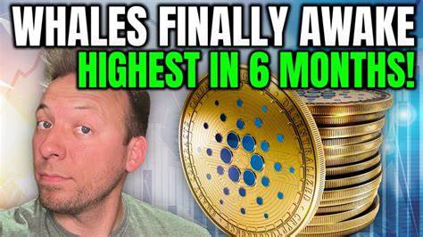 Cardano (ADA) Whale Activity Surges to Highest Point in 6 Months - Coinfomania