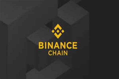 Just-In: Binance Releases Urgent Patch For BNB Smart Chain After Hack - CoinGape