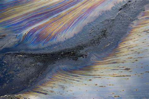 Genetic-engineered bacteria break down industrial contaminants