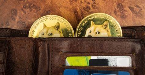 Beste Dogecoin-Wallets im Vergleich Apps & Hard Wallets