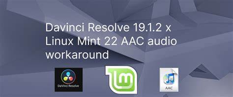DaVinci Resolve Studio. Released AAC Codec on Linux for Rendering
