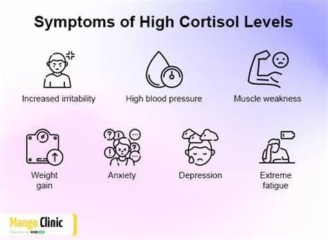 Embrace Cortisol with Anxiety Coding