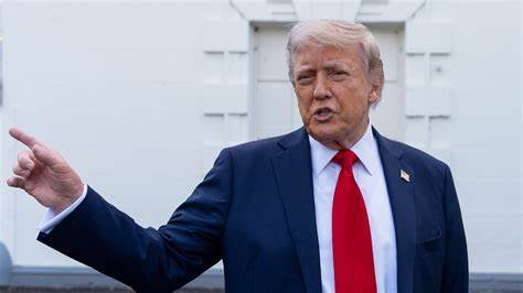 Donald Trump's dinner offer: Who are the top holders of his memecoin?