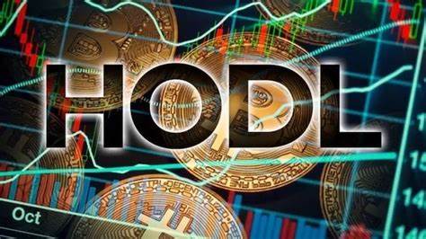 The art of HODL: Building a long-term crypto investment strategy - The Financial Express