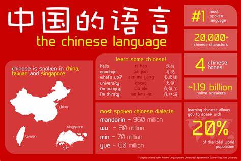 Why Chinese Is So Damn Hard (2018)
