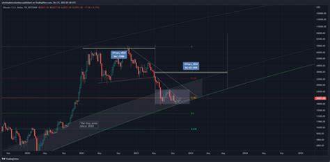 Trader That Called May 2021 Collapse Says Bitcoin May Be Following Parabolic Path to $100,000 if History Repeats - The Daily Hodl