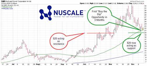 Why NuScale Power Stock Soared This Week