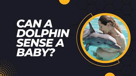 What do dolphins get up to beneath the waves? Their poo has the answers