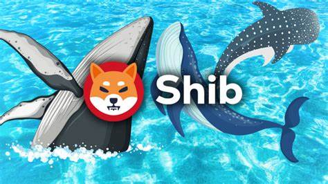 Shiba Inu Whales Accumulate, Net Flow Surges Nearly 800%